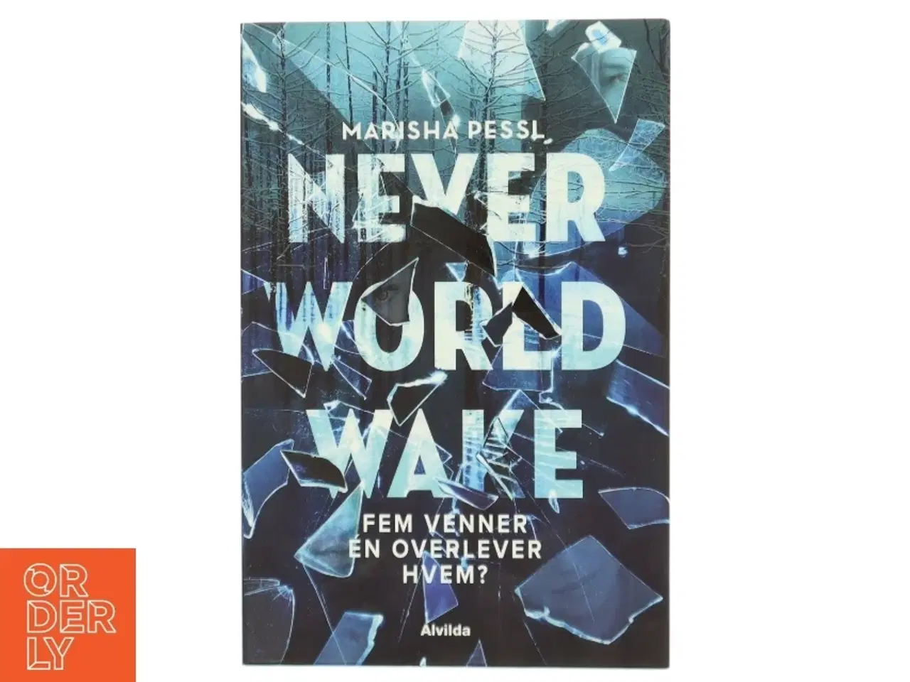 Billede 1 - Neverworld wake af Marisha Pessl (Bog)