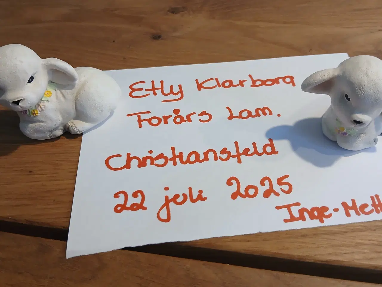 Billede 1 - Etly Klarborg Lam 