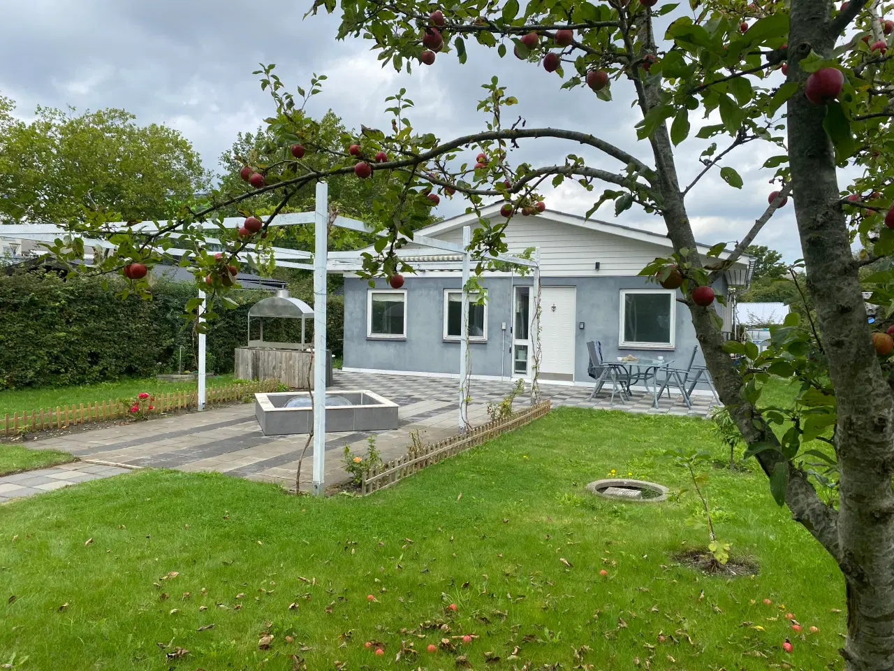 Billede 8 - Odenses hyggeligste kolonihave til salg 🌿