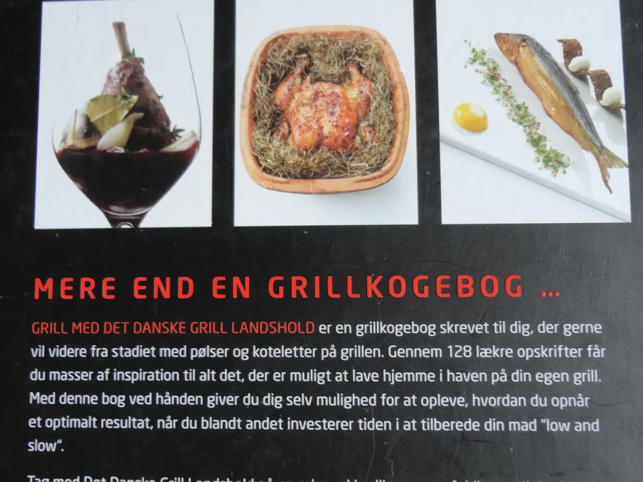 Billede 5 - Grill med det danske grill landshold  :