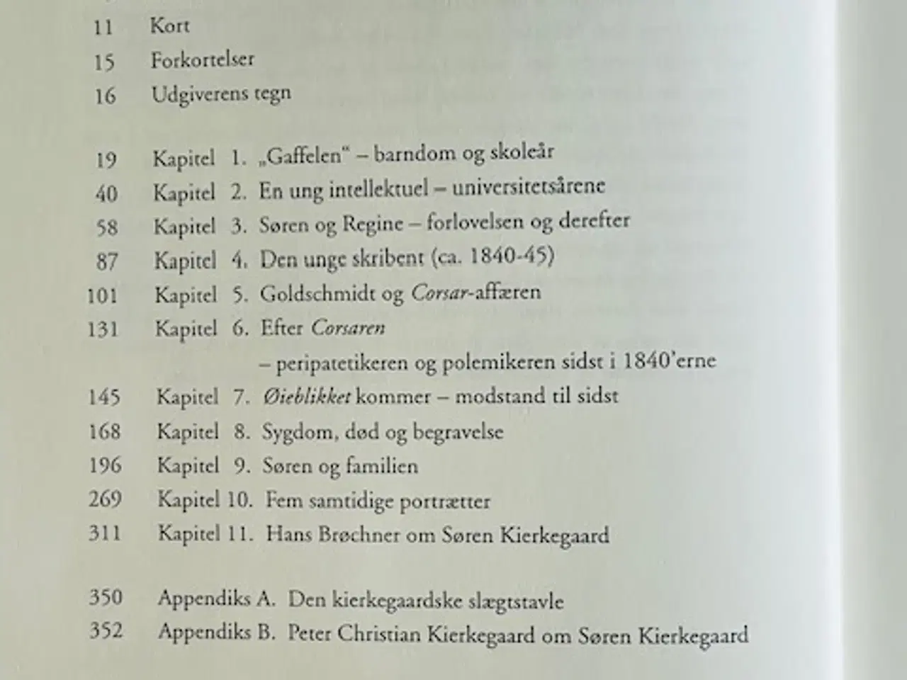 Billede 4 - Søren Kierkegaard truffet 