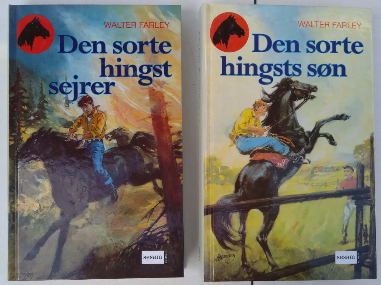 Billede 1 - Den sorte hingst
