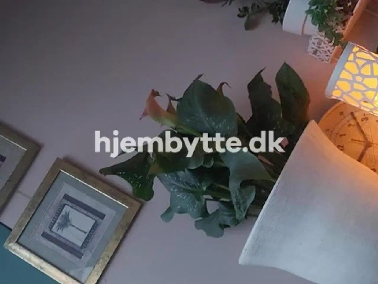 Billede 12 - Hjembytte - Rantzausgade