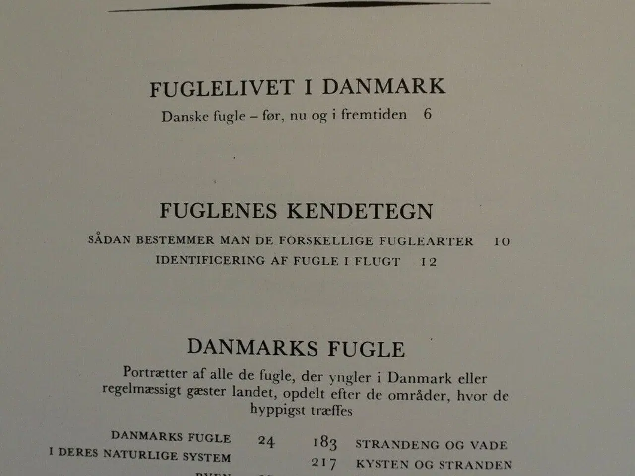 Billede 3 - fugleliv i danmark, red. af bent jørgensen
