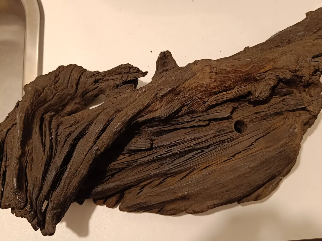 Billede 2 - Moseeg, stort flot stykke med flot patina