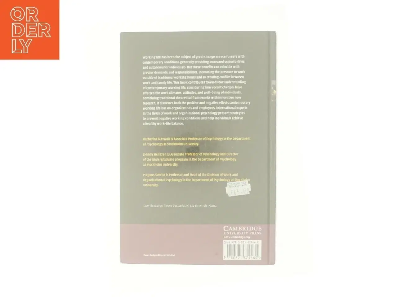 Billede 3 - The individual in the changing working life (Bog)