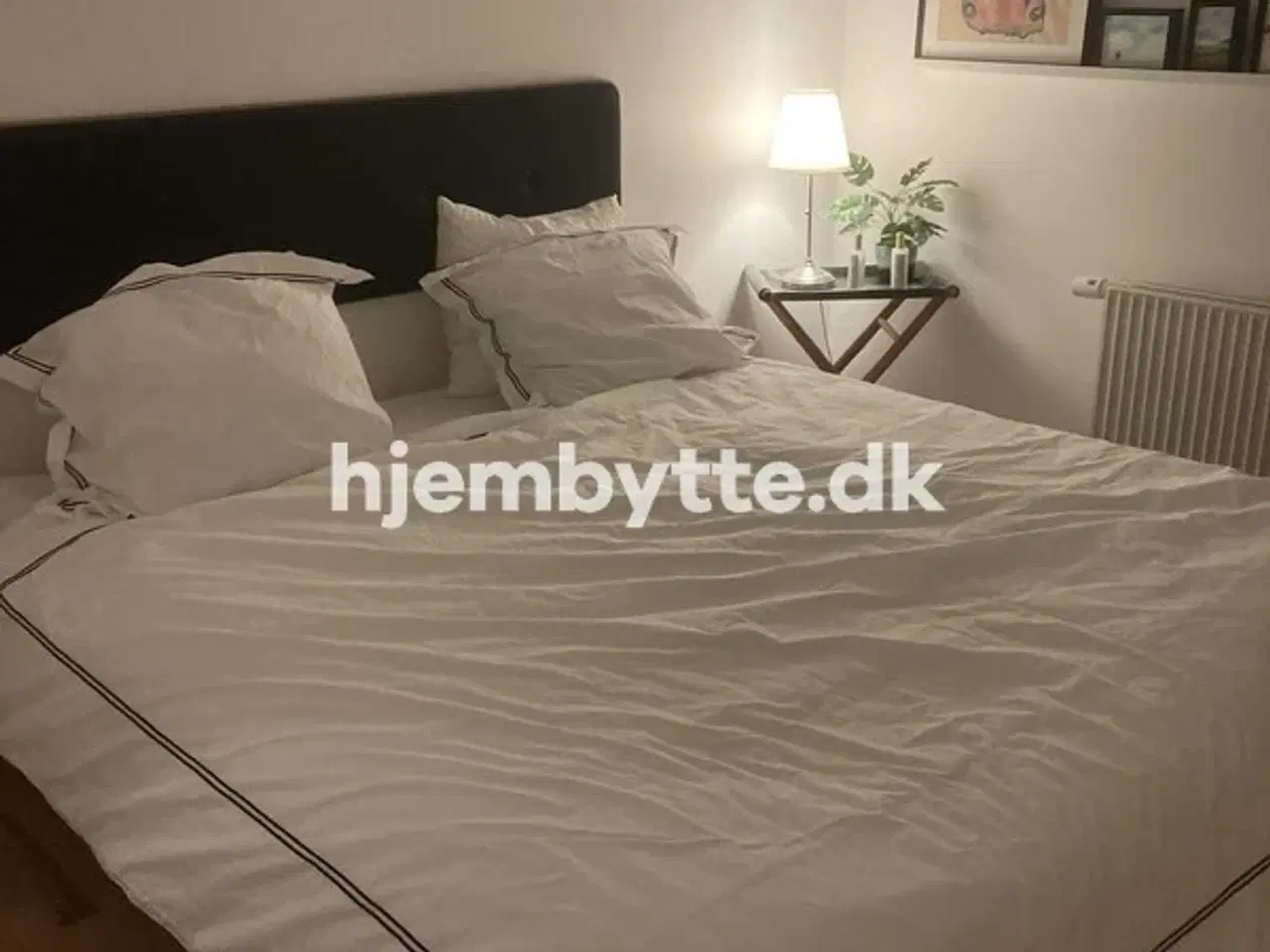 Billede 14 - Hjembytte - Hyldemosen