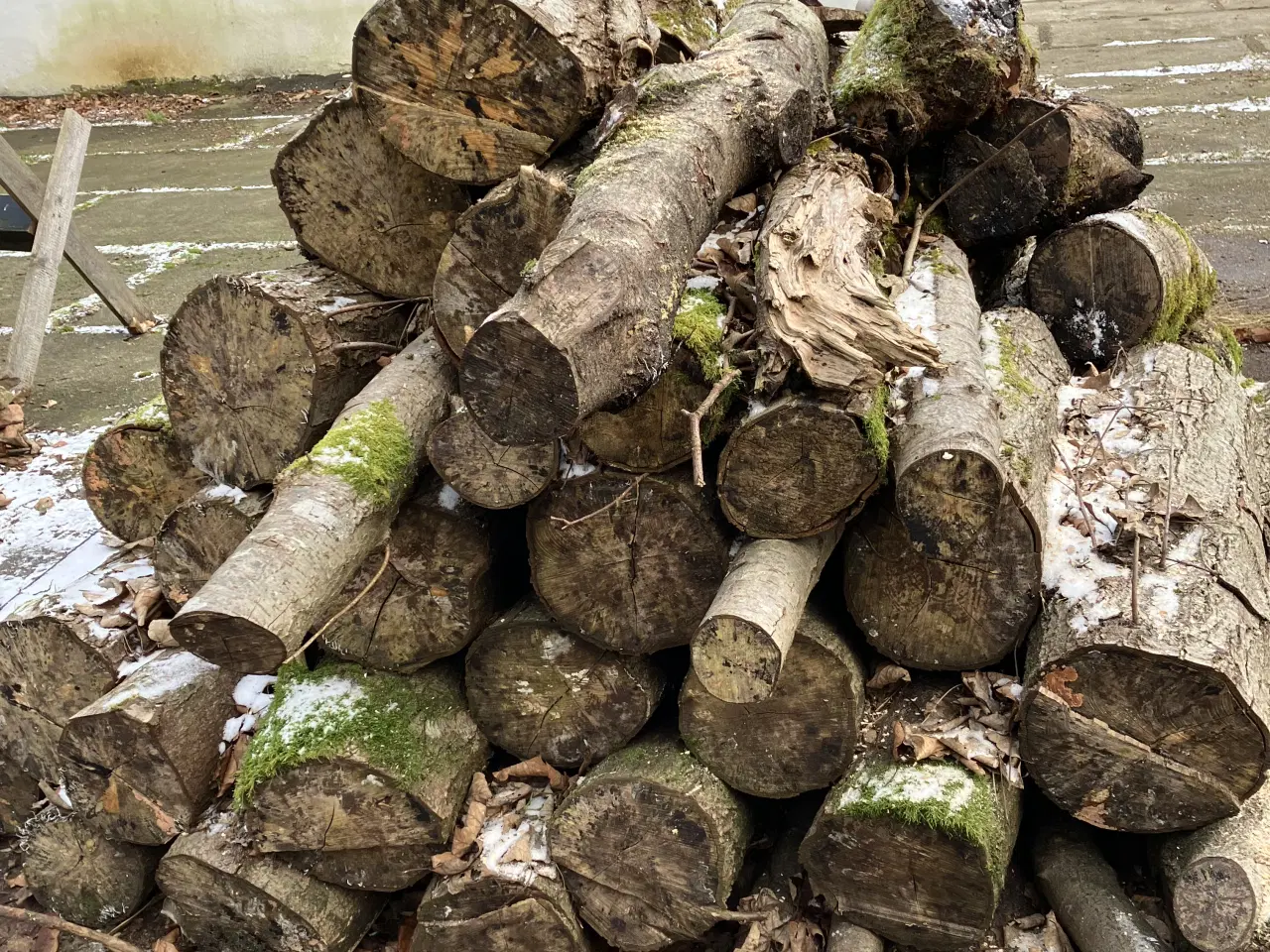Billede 3 - Blandet løvtræ til brænde - ca. 2 rummeter