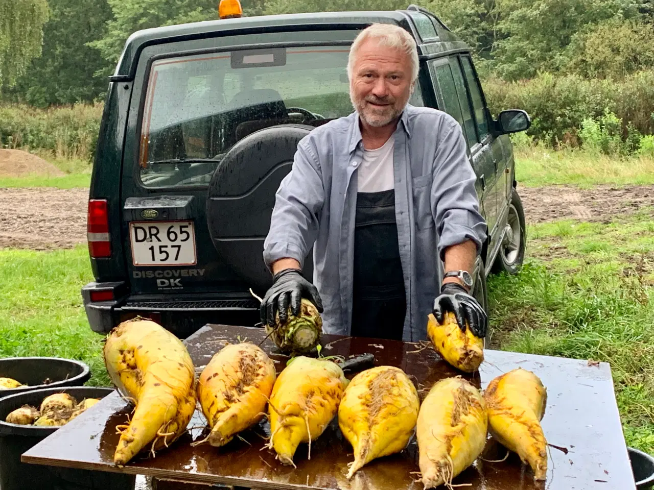 Billede 1 - Roer til vildtfoder mv