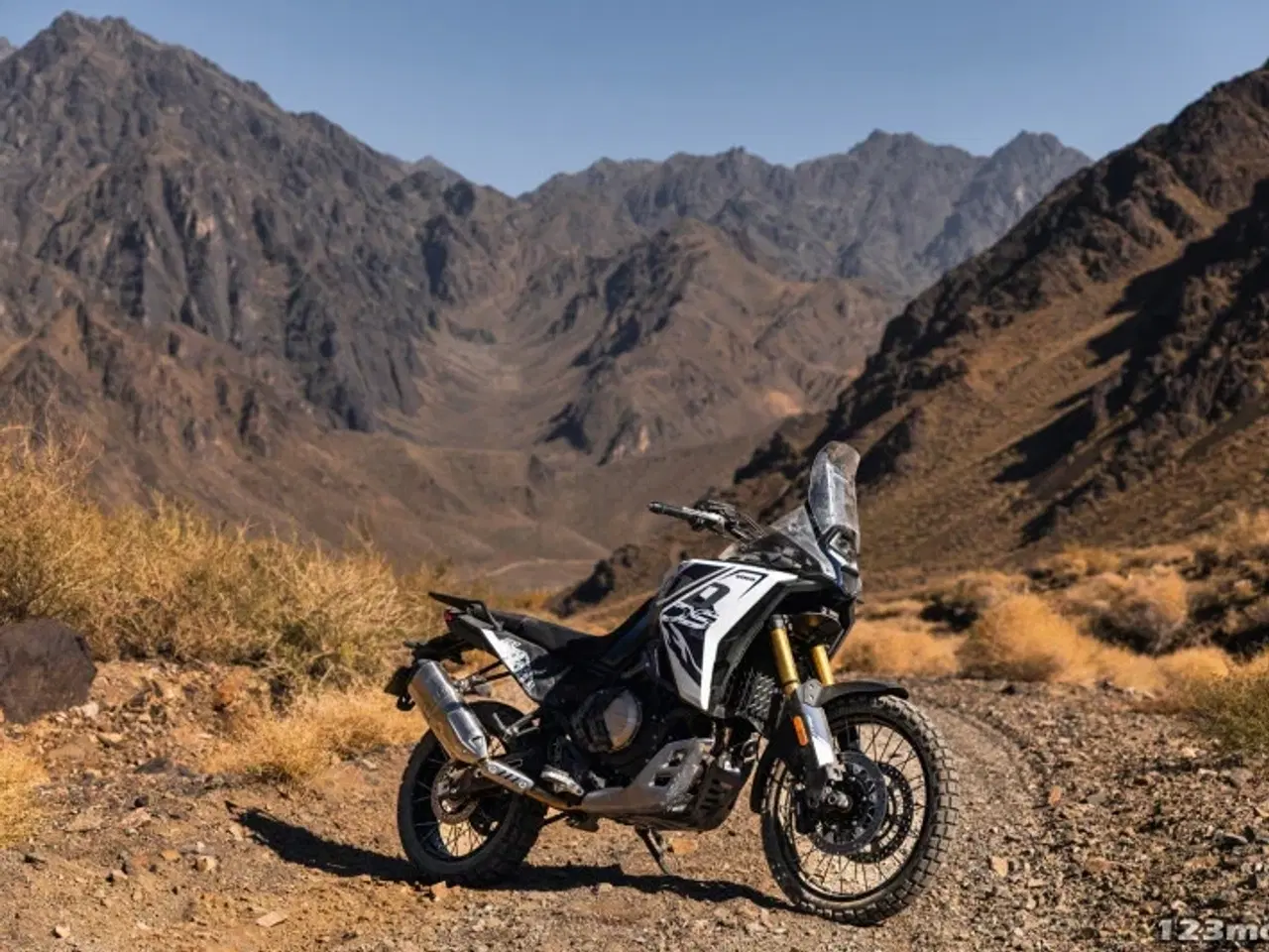 Billede 22 - Voge DS 800 Rally