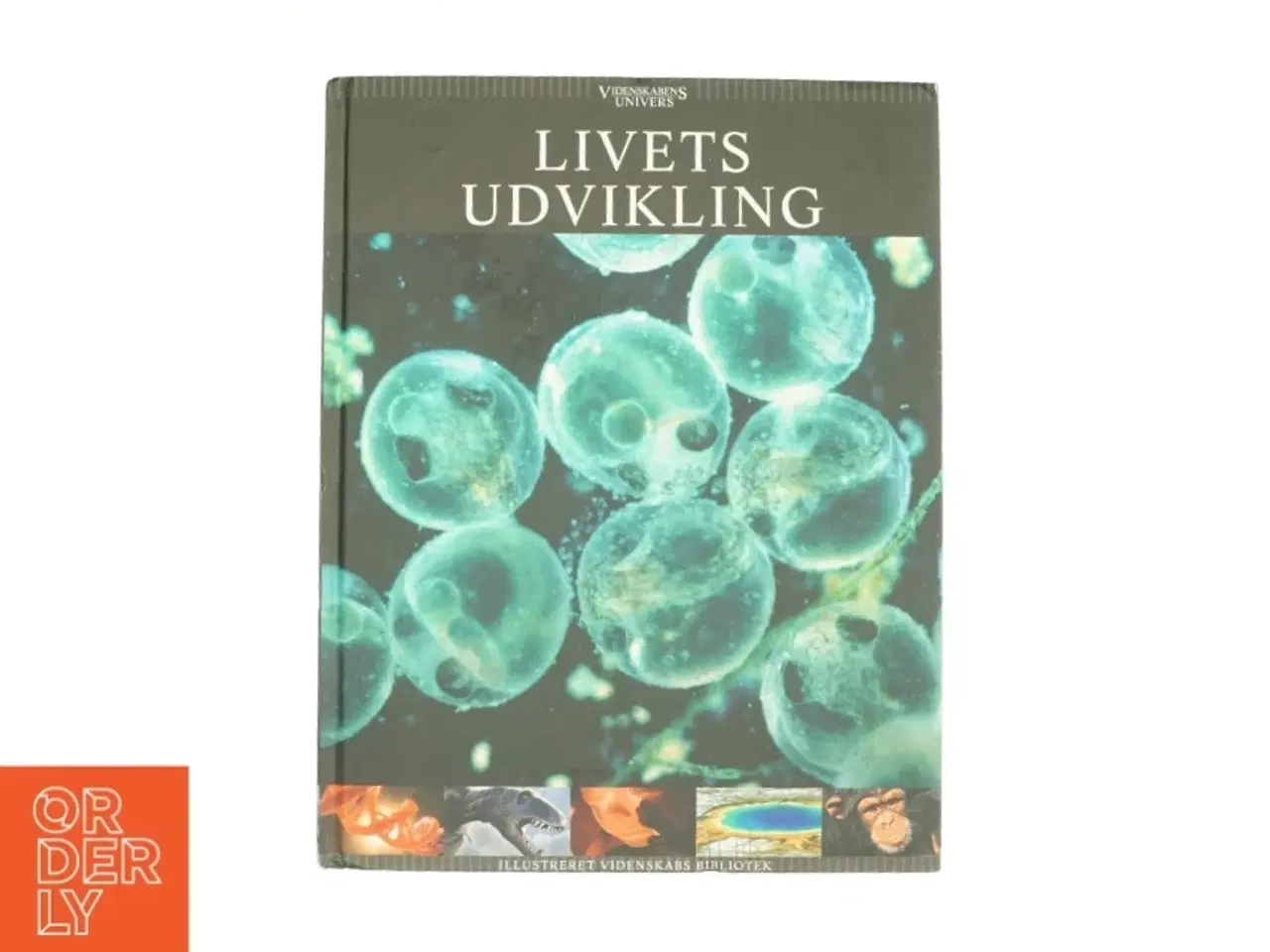 Billede 1 - Livets udvikling (Bog)