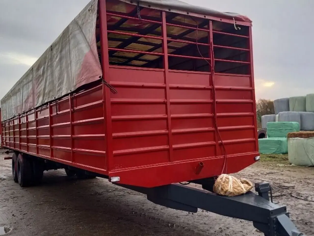 Billede 4 - Regerup Kvægtransport