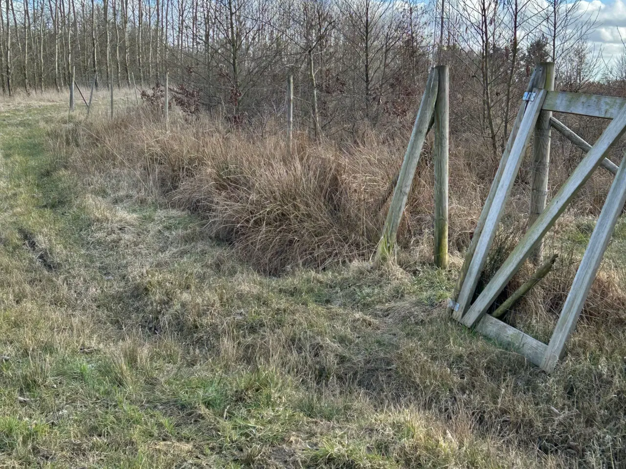 Billede 2 - Gratis hegn ved hurtig afhentning