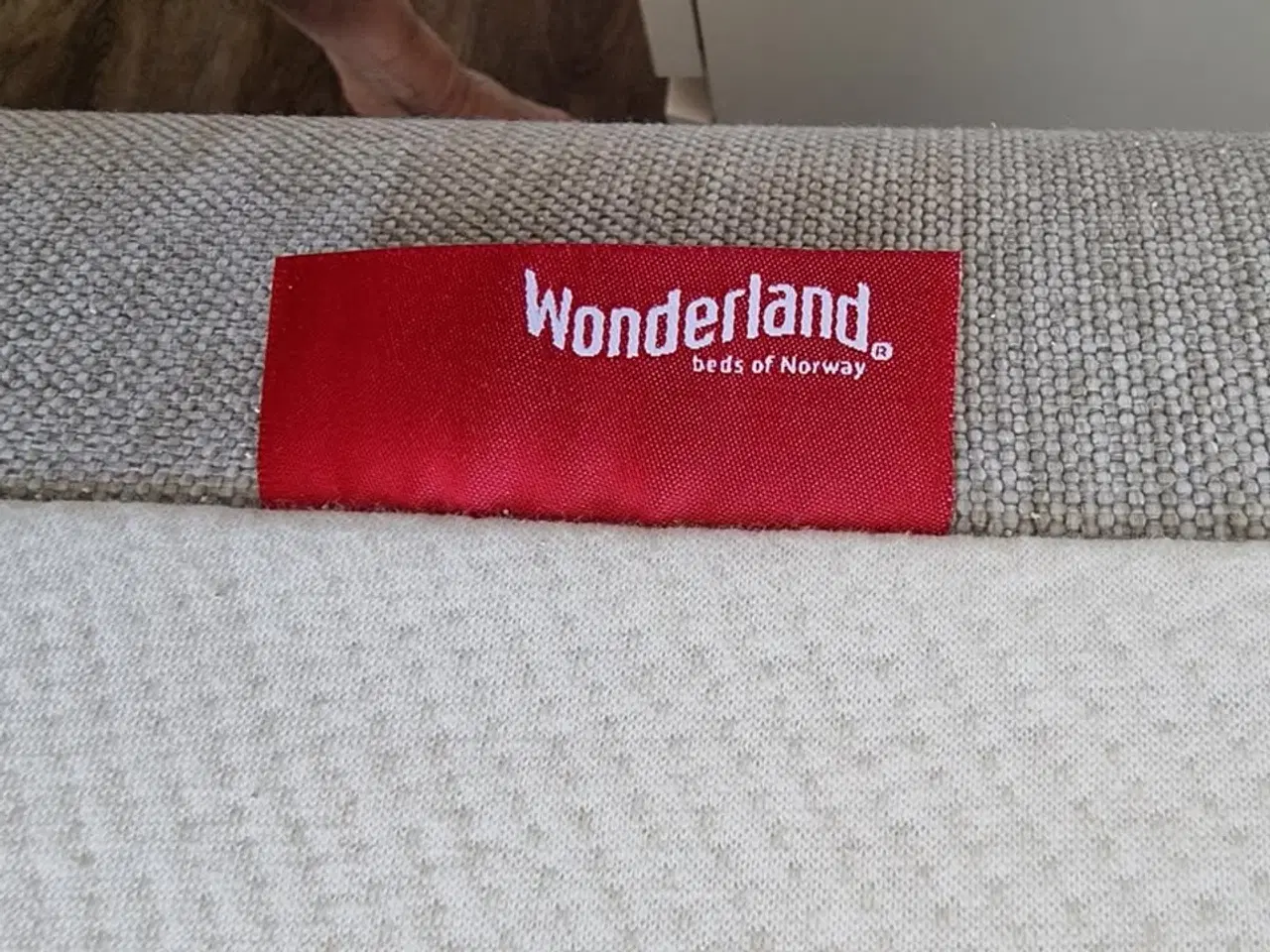 Billede 2 - Seng. Wonder Land  Enkeltseng Elevation