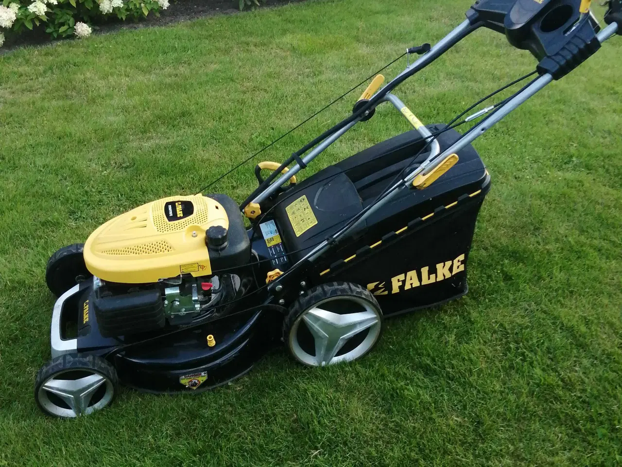 Billede 3 - Falke plæneklipper DYMIP 70 FE 