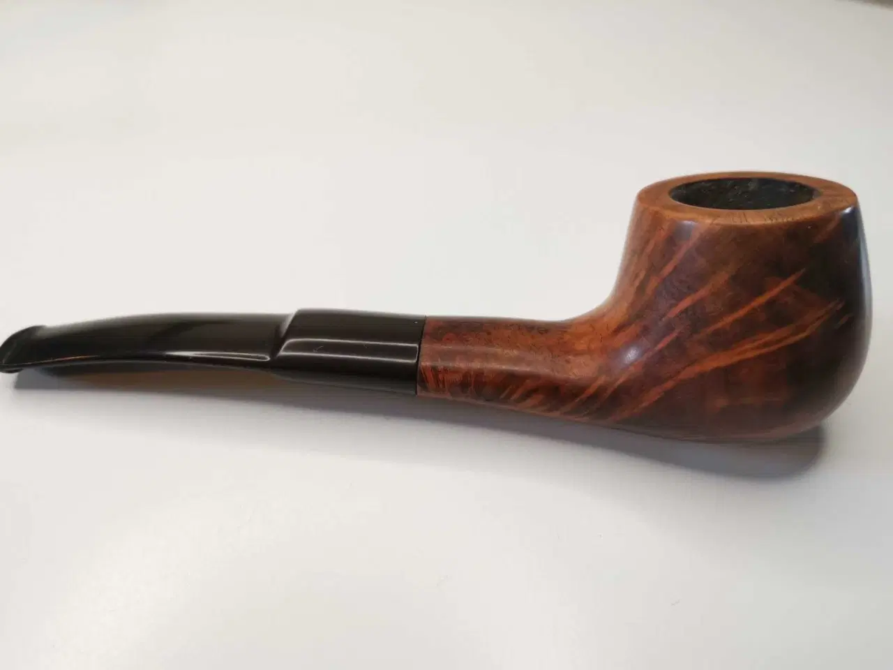 Billede 1 - BACHELOR pibe