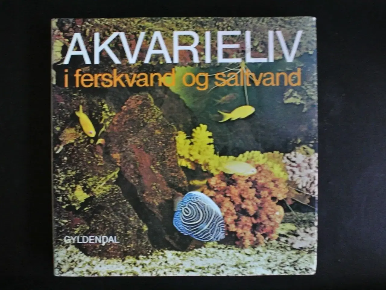 Billede 1 - akvarieliv i ferskvand og saltvand, af peter unnam