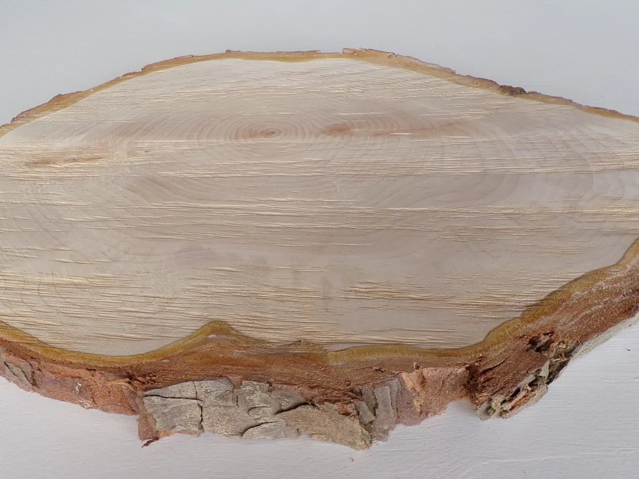 Billede 2 - NY Thuja Træskive med bark 38 cm lang