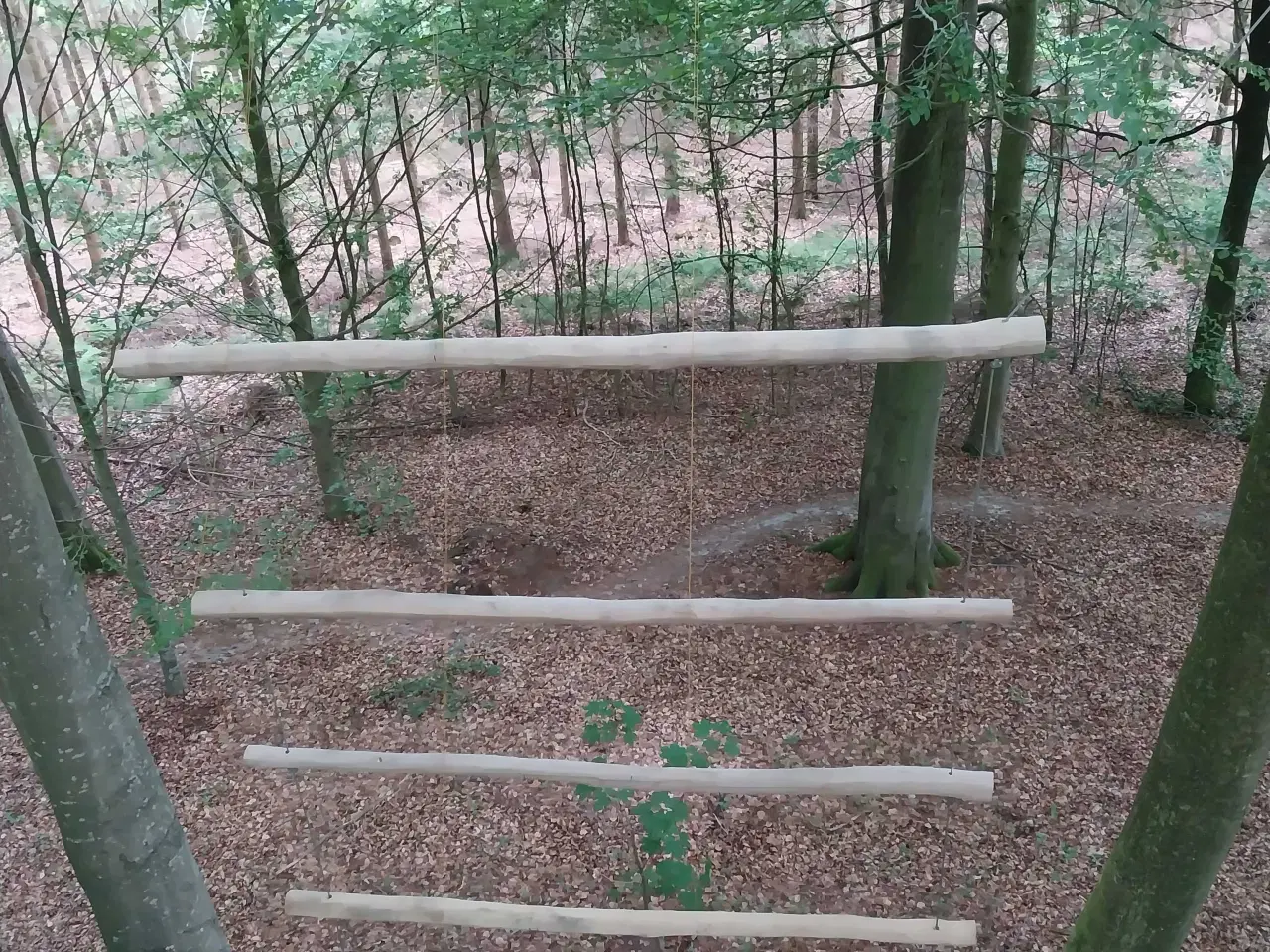 Billede 1 - Jakobstige 10m høj i robiniatræ.