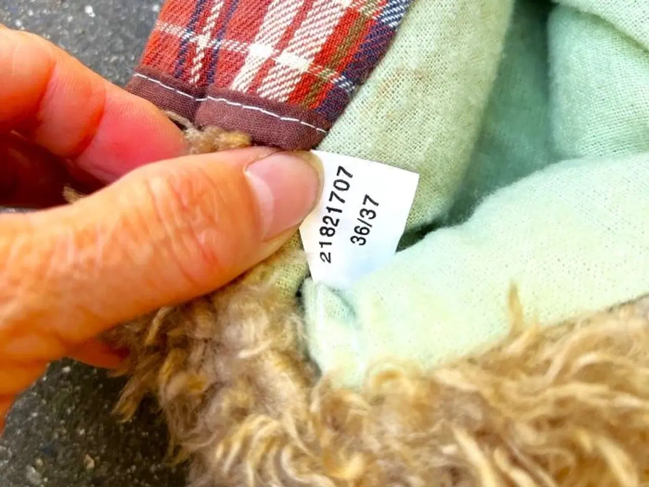 Billede 2 - Hunde-hjemmesko. Helt nye og ubrugte.