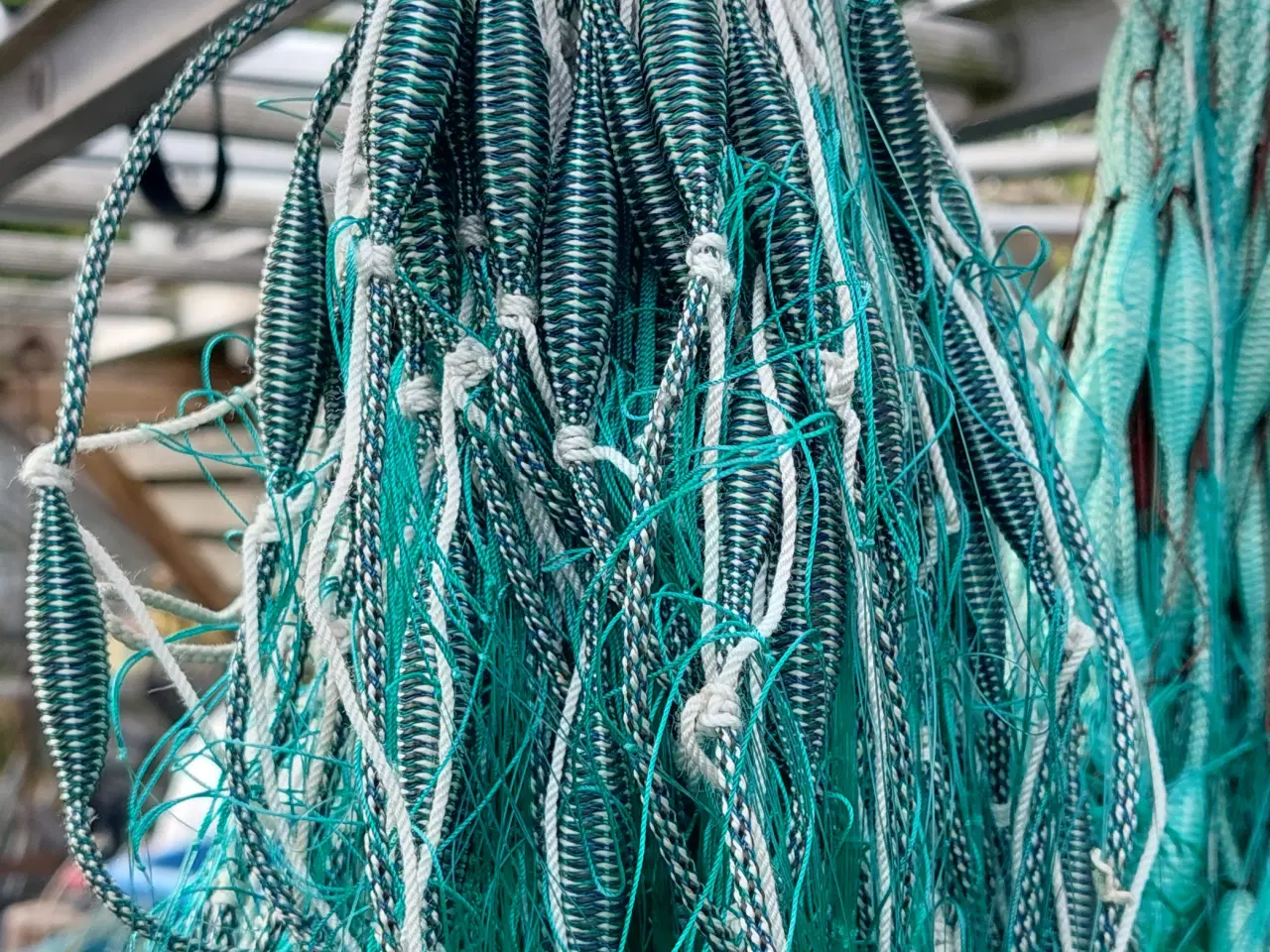 Billede 2 - Rødspætte / Skrubbegarn