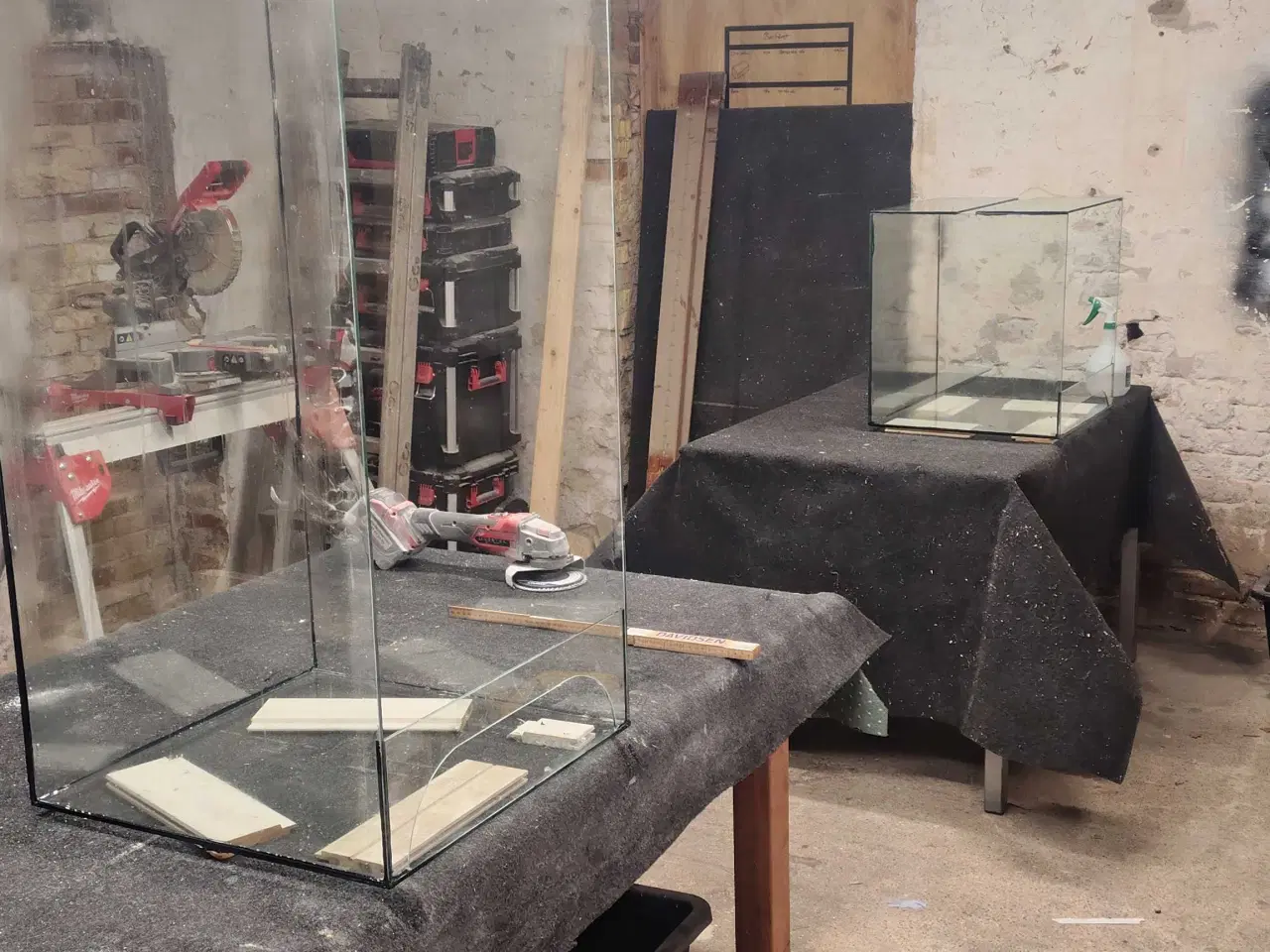 Billede 6 - Glas Terrarier