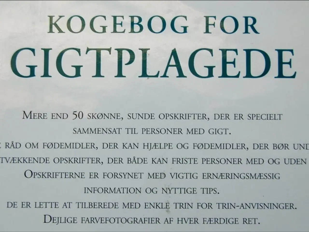 Billede 4 - kogebog for gigtplagede