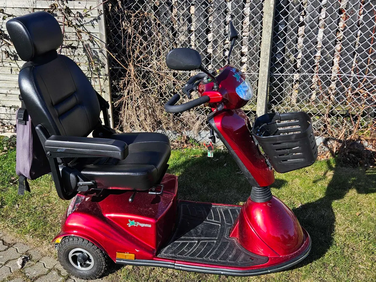 Billede 2 - Pegasus lærken 3