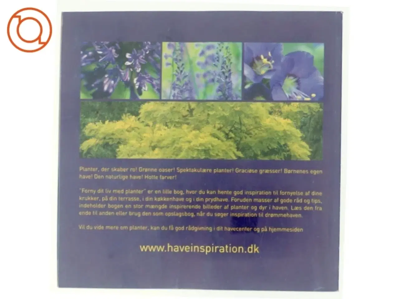 Billede 3 - Forny dit liv med planter