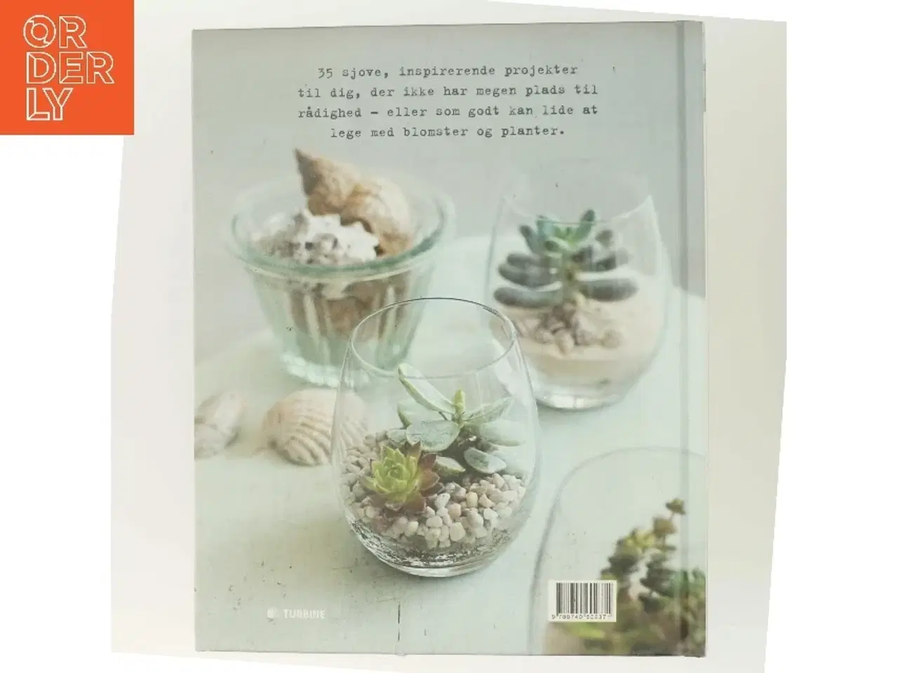 Billede 3 - Miniaturehaver : 35 sjove og inspirerende trin-for-trin-projekter til miniature-gartneren, lige fra spiselige vækster i potter, en fehave til b&#