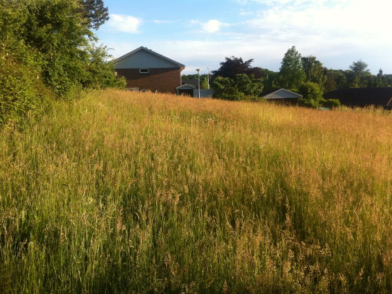 Billede 5 - Byggegrund for liebhaver.