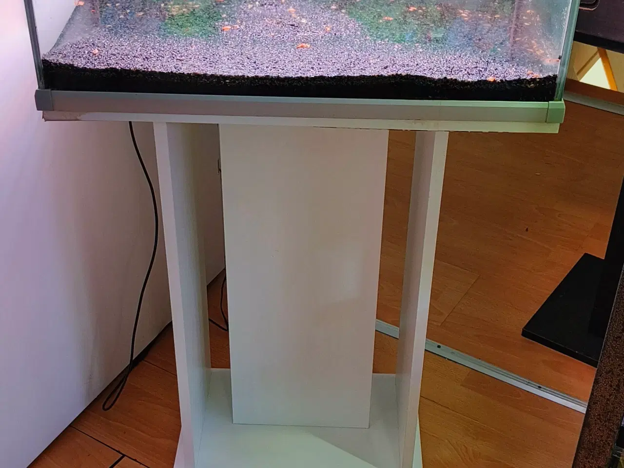 Billede 3 - 54 liters Akvastabil Family akvarie