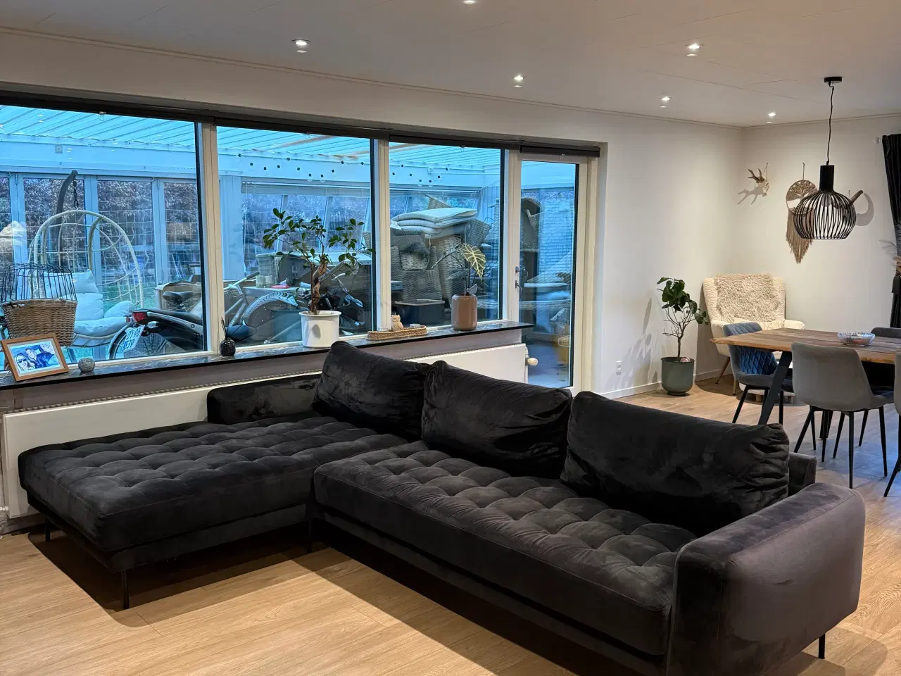 Billede 1 - Velour sofa sort