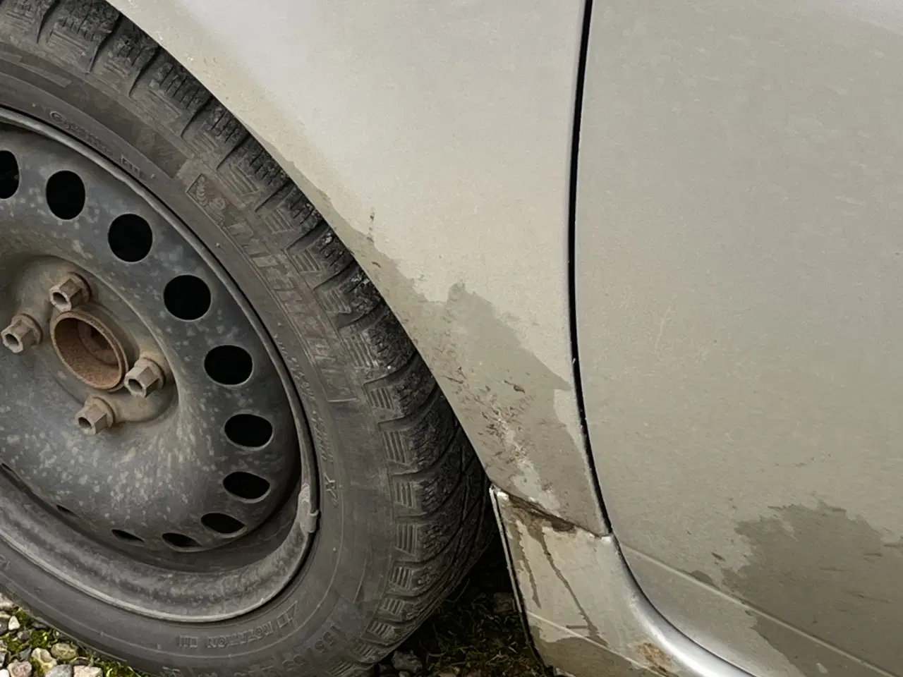 Billede 5 - Gammel Lupo 