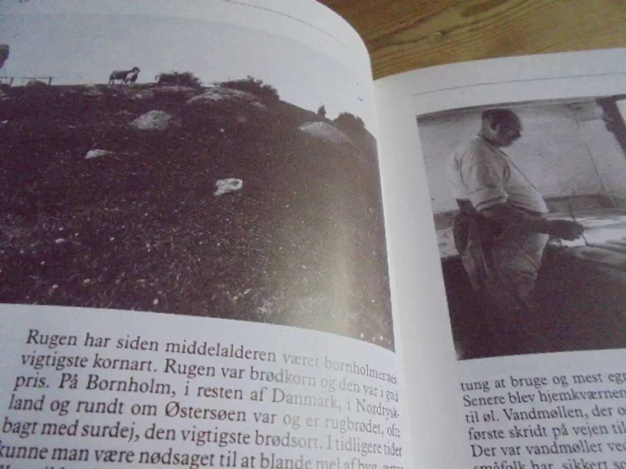 Billede 4 - Bornholmernes mad – en kulturhistorisk kogebog  