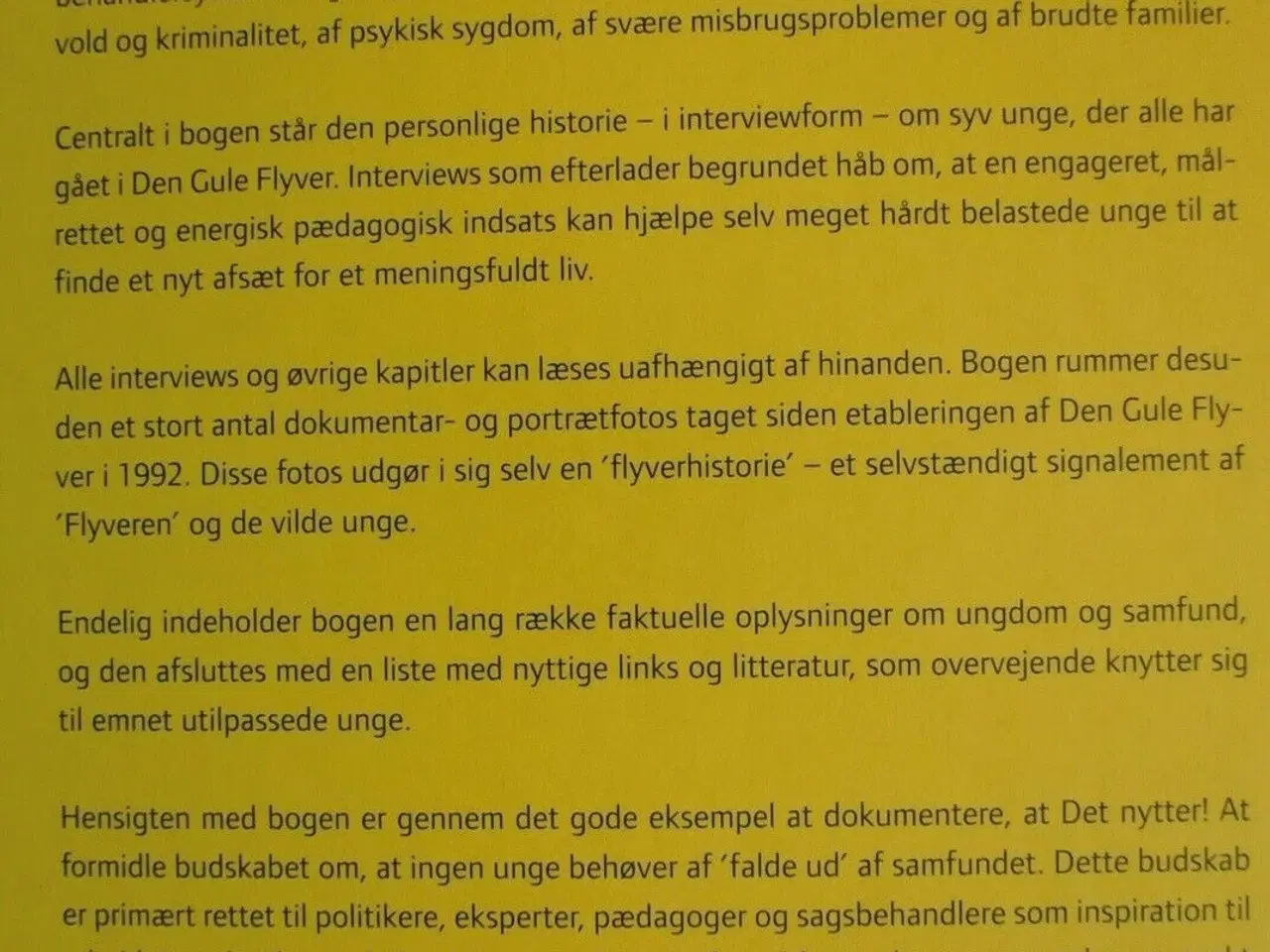 Billede 3 - det nytter - om vilde unge og det sociale arbejde 