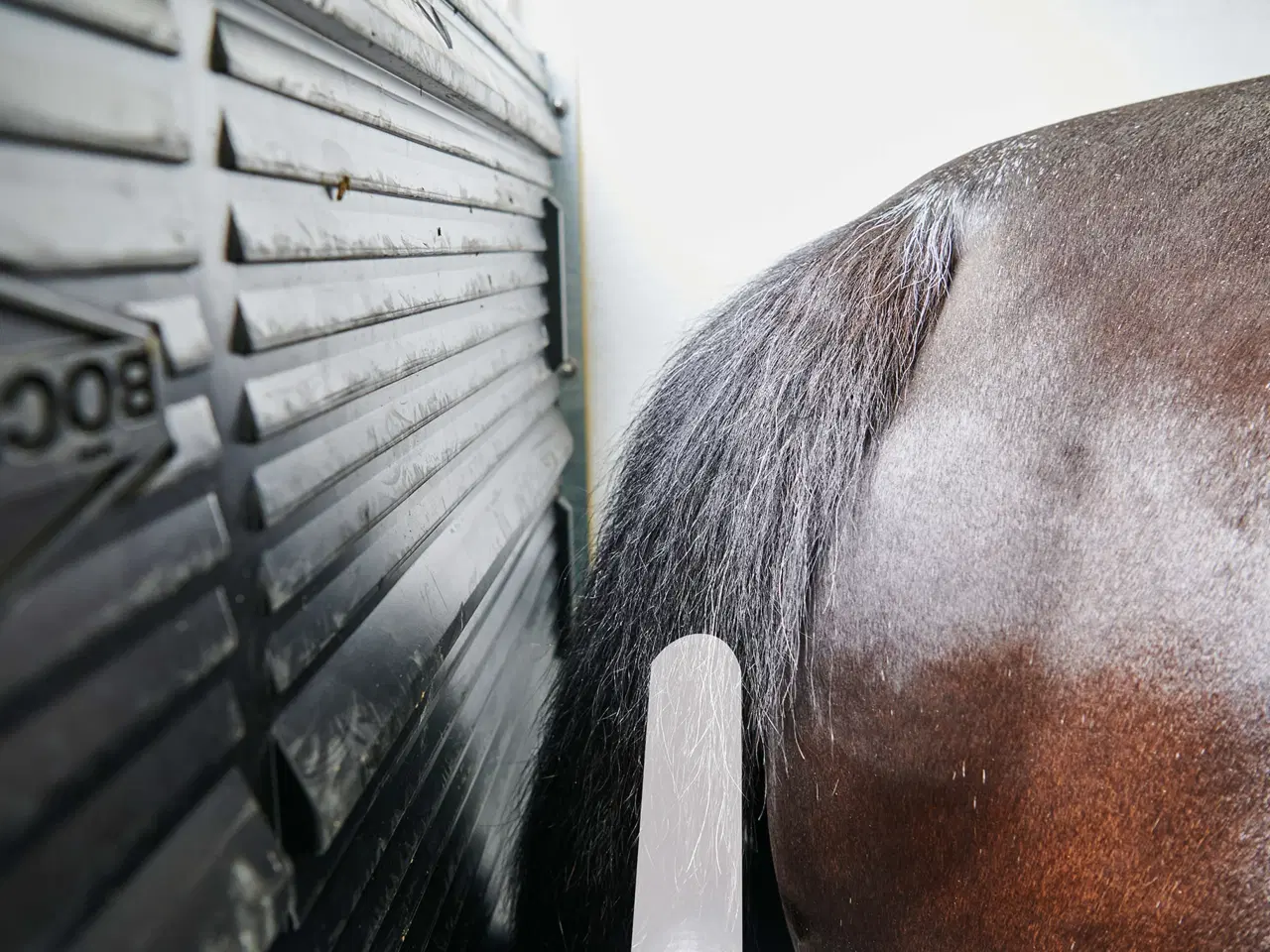 Billede 13 - Böckmann Neo L SR