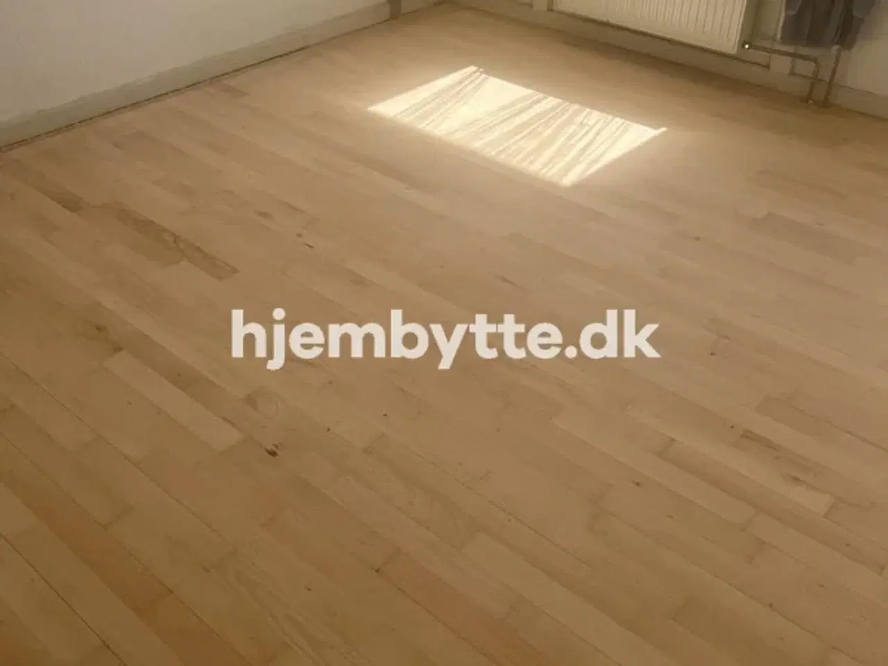 Billede 3 - Hjembytte - Fokken