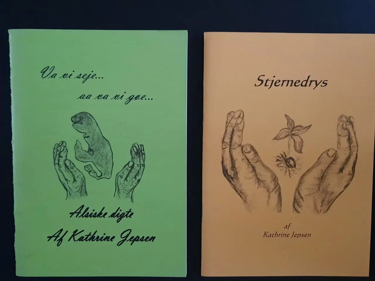 Billede 1 - Stjernedrys / Va vi seje aa va vi gøe, Kathrine Je