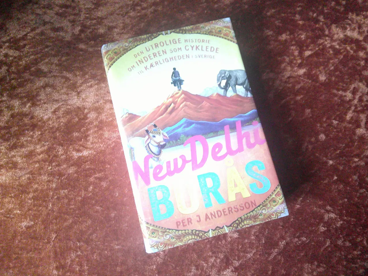 Billede 1 - New Delhi-Borås, Per J. Andersson