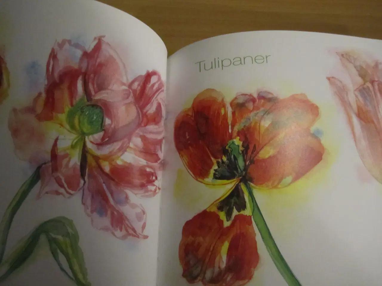 Billede 2 - BLOMSTER I AKVAREL. BYD.