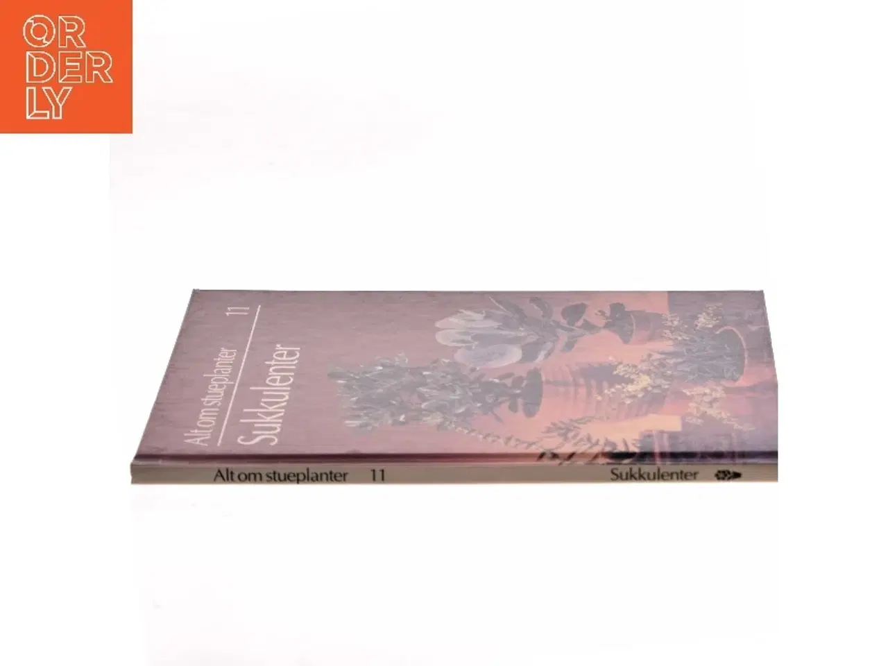 Billede 2 - Sukkulenter af <Bogforfattere ikke oplyst< (Bog)