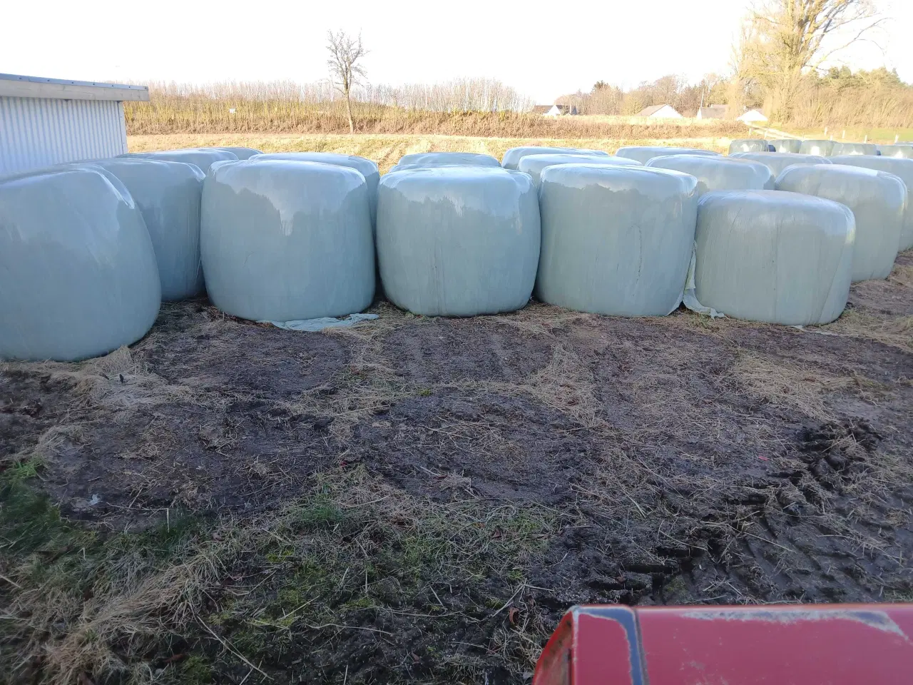 Billede 1 - Wraphø til kvæg