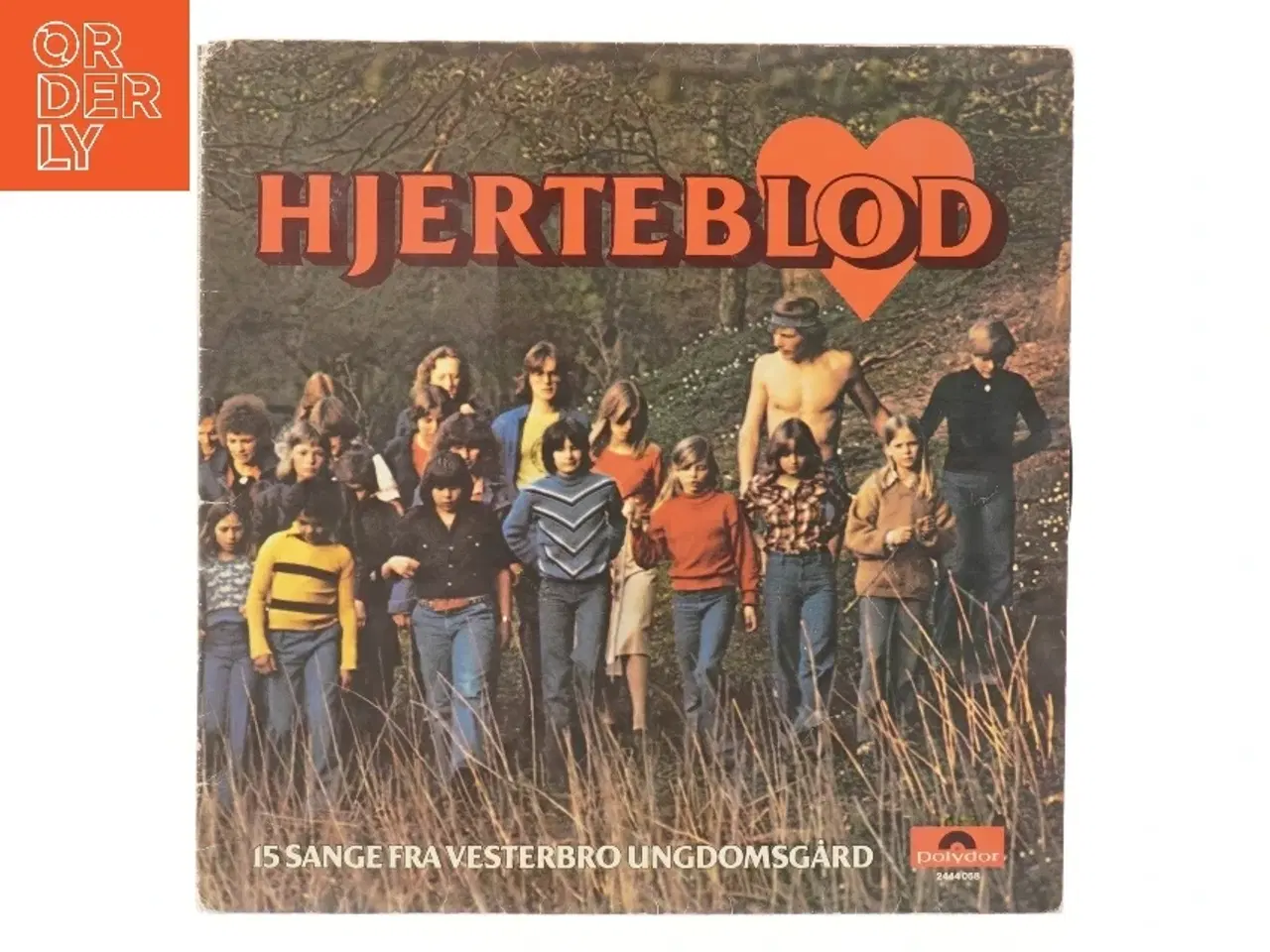 Billede 1 - Vesterbro ungdomsgård Hjerteblod LP