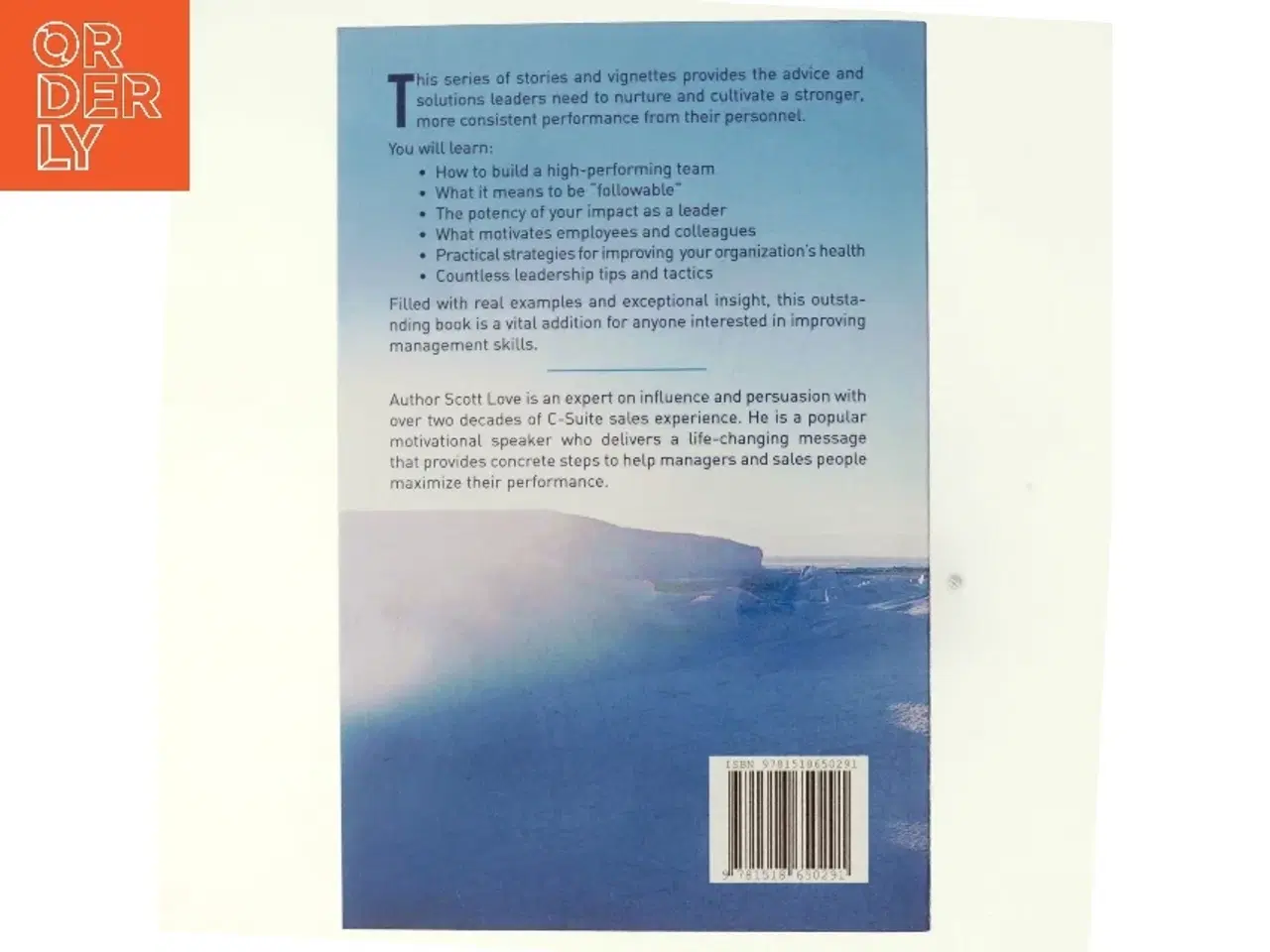 Billede 3 - Why They Follow af Scott Love (Bog)