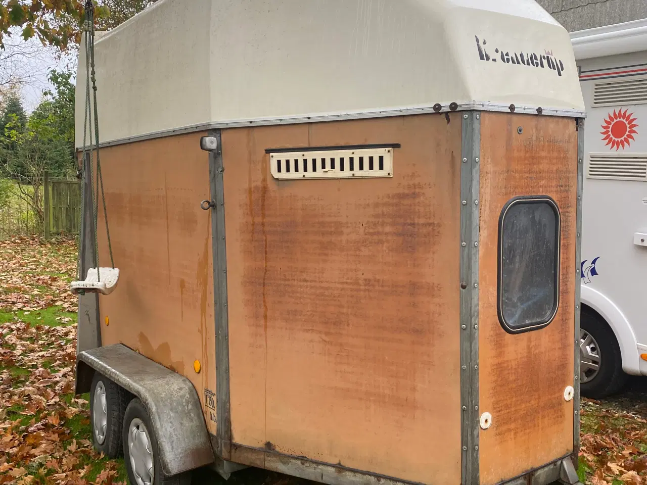 Billede 2 - Hestetrailer