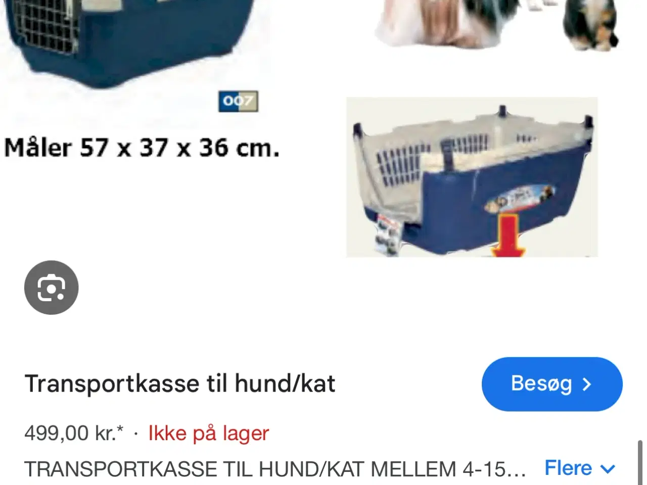 Billede 1 - Transport kasse til hund