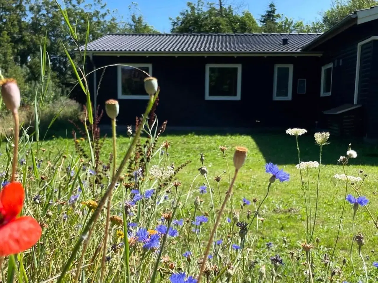 Billede 1 - Sommerhus med plads til op 8-10 personer