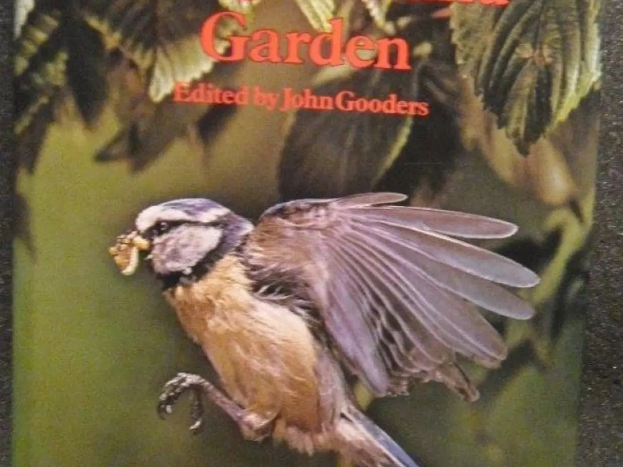 Billede 1 - Birds of Hedgerow by John Gooders