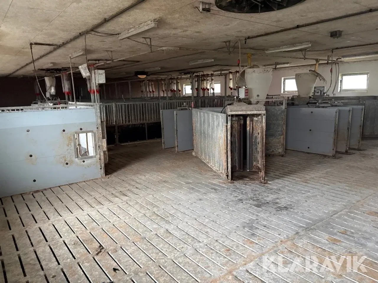 Billede 4 - Komplet grisestald alt inventar medfølger